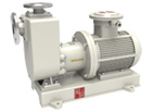 TCZ Non-leakage magnetic self-priming pump